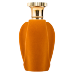 100 ml