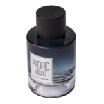 100 ml